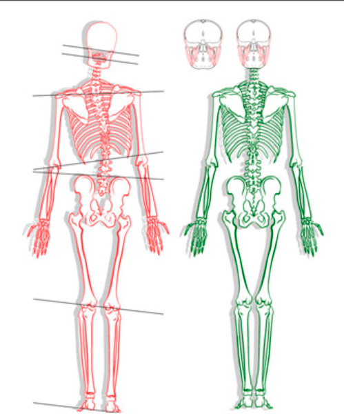 Ортодонт Печерск Киев Ортодонт Печерск Киев
